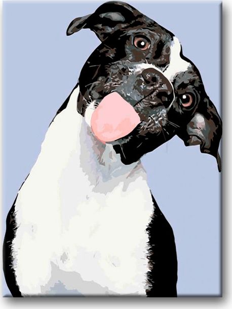 zuty Malování podle čísel - ČERNOBÍLÝ PES A VYPLÁZNUTÝ JAZYK - Rozměr: 40x50 cm, Rámování: Varianta: bez rámu a bez vypnutí plátna - obrázek 17