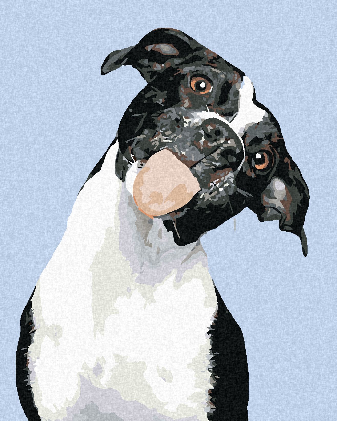 zuty Malování podle čísel - ČERNOBÍLÝ PES A VYPLÁZNUTÝ JAZYK - Rozměr: 40x50 cm, Rámování: Varianta: vypnuté plátno na rám - obrázek 1