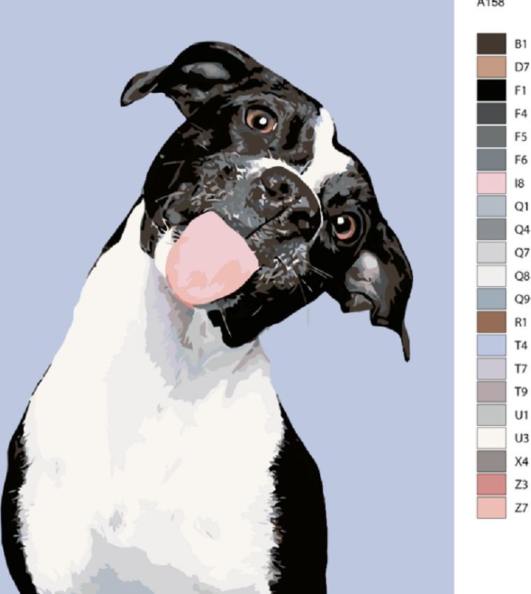 zuty Malování podle čísel - ČERNOBÍLÝ PES A VYPLÁZNUTÝ JAZYK - Rozměr: 40x50 cm, Rámování: Varianta: vypnuté plátno na rám - obrázek 5