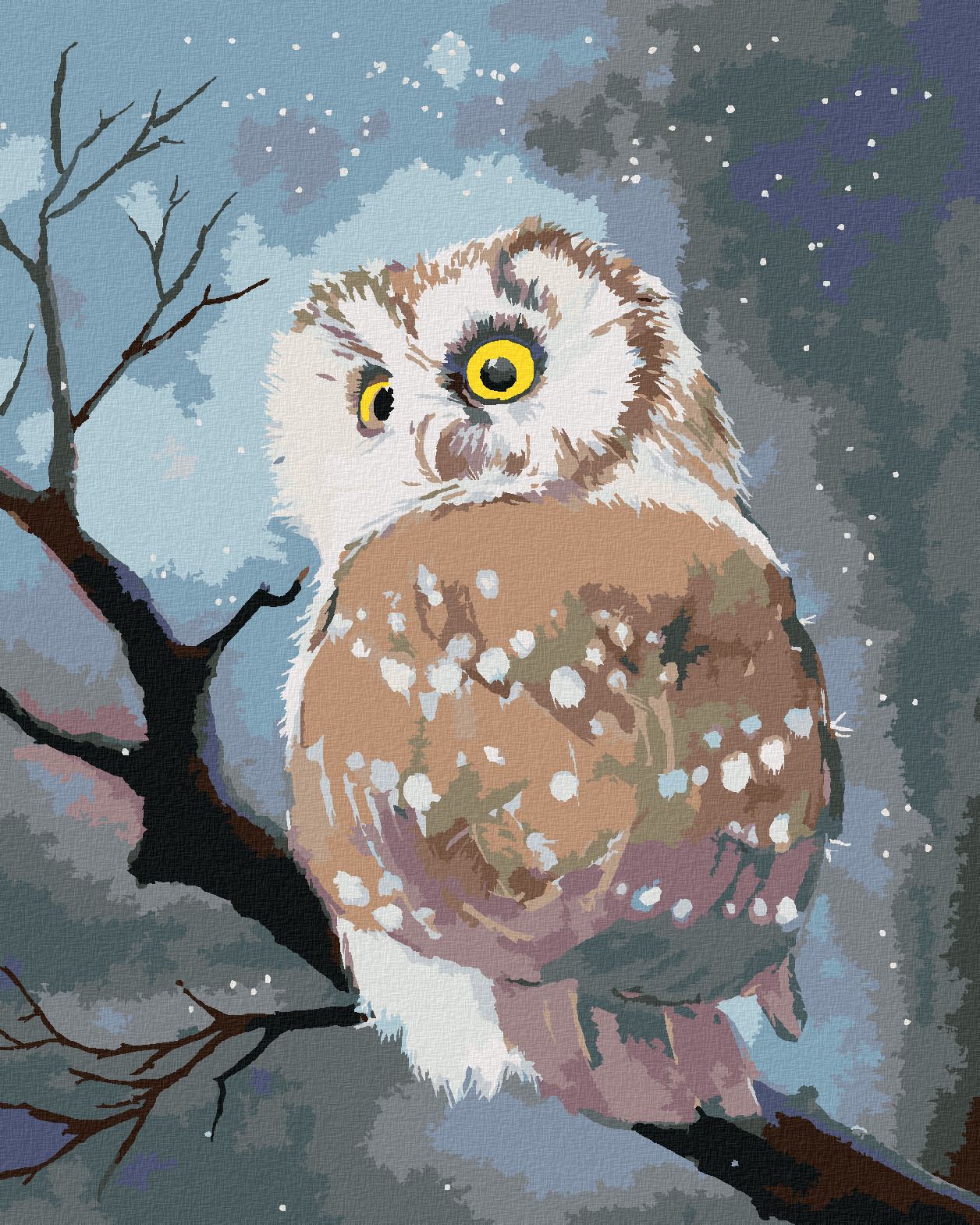 zuty Malování podle čísel - ZIMNÍ SOVA - Rozměr: 40x50 cm, Rámování: Varianta: bez rámu a bez vypnutí plátna - obrázek 1