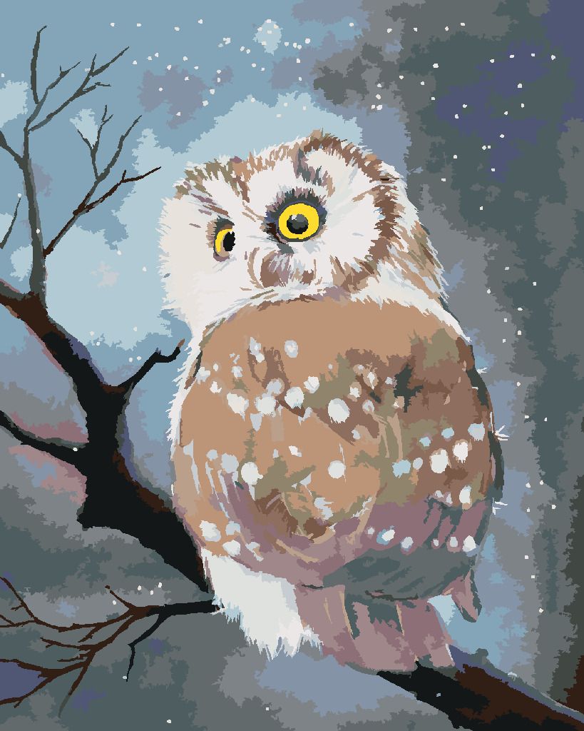 zuty Malování podle čísel - ZIMNÍ SOVA - Rozměr: 40x50 cm, Rámování: Varianta: vypnuté plátno na rám - obrázek 9