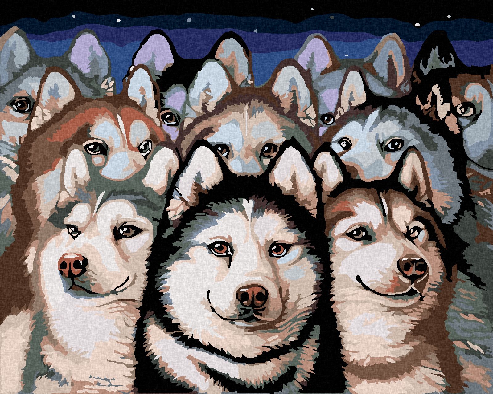 zuty Malování podle čísel - TLUPA HUSKY - Rozměr: 40x50 cm, Rámování: Varianta: vypnuté plátno na rám - obrázek 1