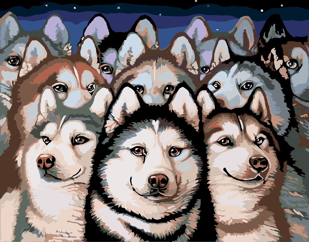 zuty Malování podle čísel - TLUPA HUSKY - Rozměr: 40x50 cm, Rámování: Varianta: vypnuté plátno na rám - obrázek 5