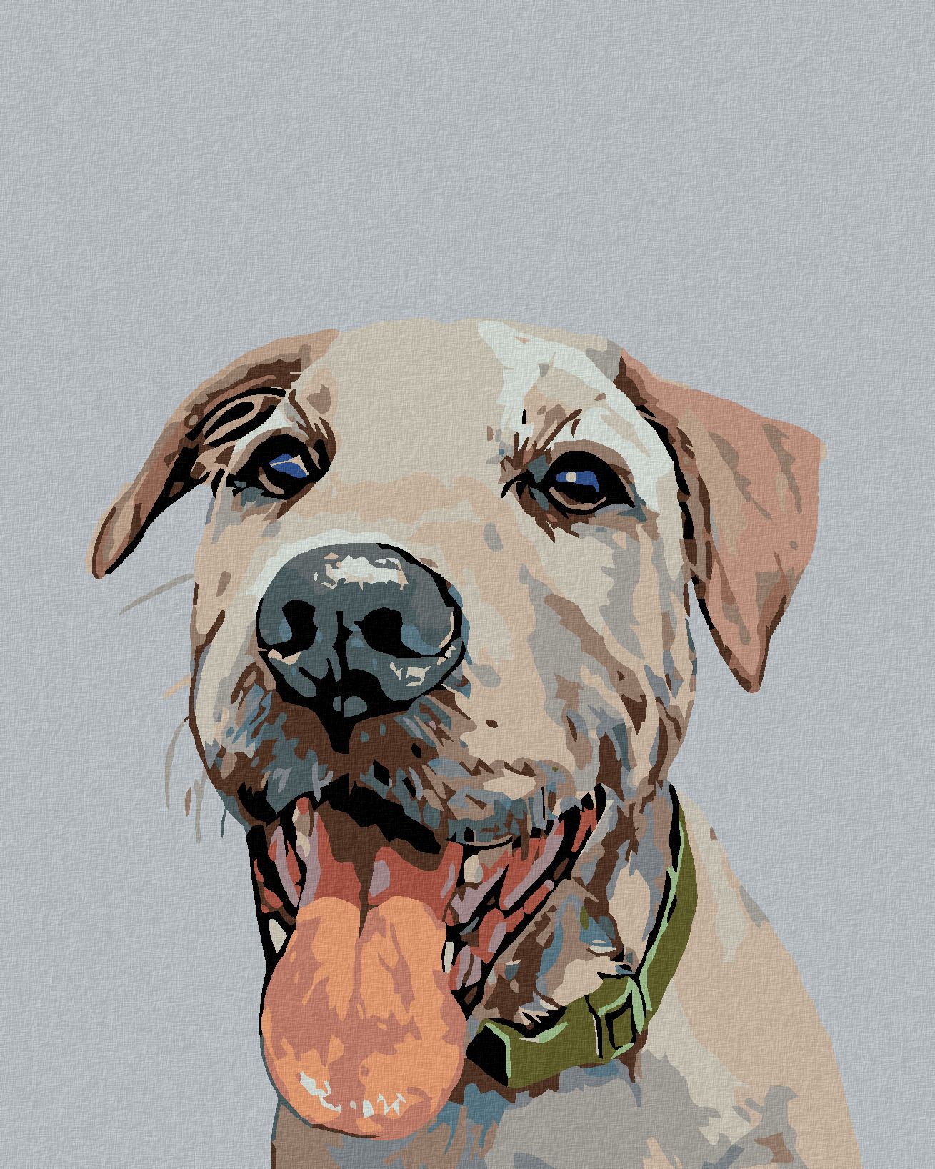 zuty Malování podle čísel - PES SE ZELENÝM OBOJKEM - Rozměr: 40x50 cm, Rámování: Varianta: bez rámu a bez vypnutí plátna - obrázek 1