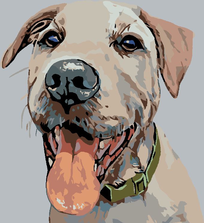 zuty Malování podle čísel - PES SE ZELENÝM OBOJKEM - Rozměr: 40x50 cm, Rámování: Varianta: vypnuté plátno na rám - obrázek 8