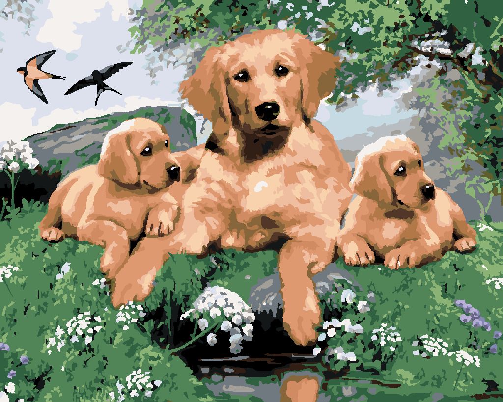 zuty Malování podle čísel - ZLATÝ RETRÍVR A ŠTĚŇATA (HOWARD ROBINSON) - Rozměr: 40x50 cm, Rámování: Varianta: bez rámu a bez vypnutí plátna - obrázek 10