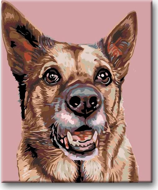 zuty Malování podle čísel - FENKA VLČÁKA - Rozměr: 40x50 cm, Rámování: Varianta: vypnuté plátno na rám - obrázek 10