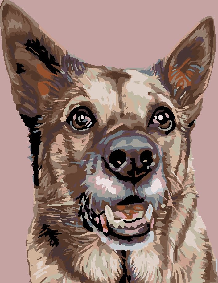 zuty Malování podle čísel - FENKA VLČÁKA - Rozměr: 40x50 cm, Rámování: Varianta: vypnuté plátno na rám - obrázek 13