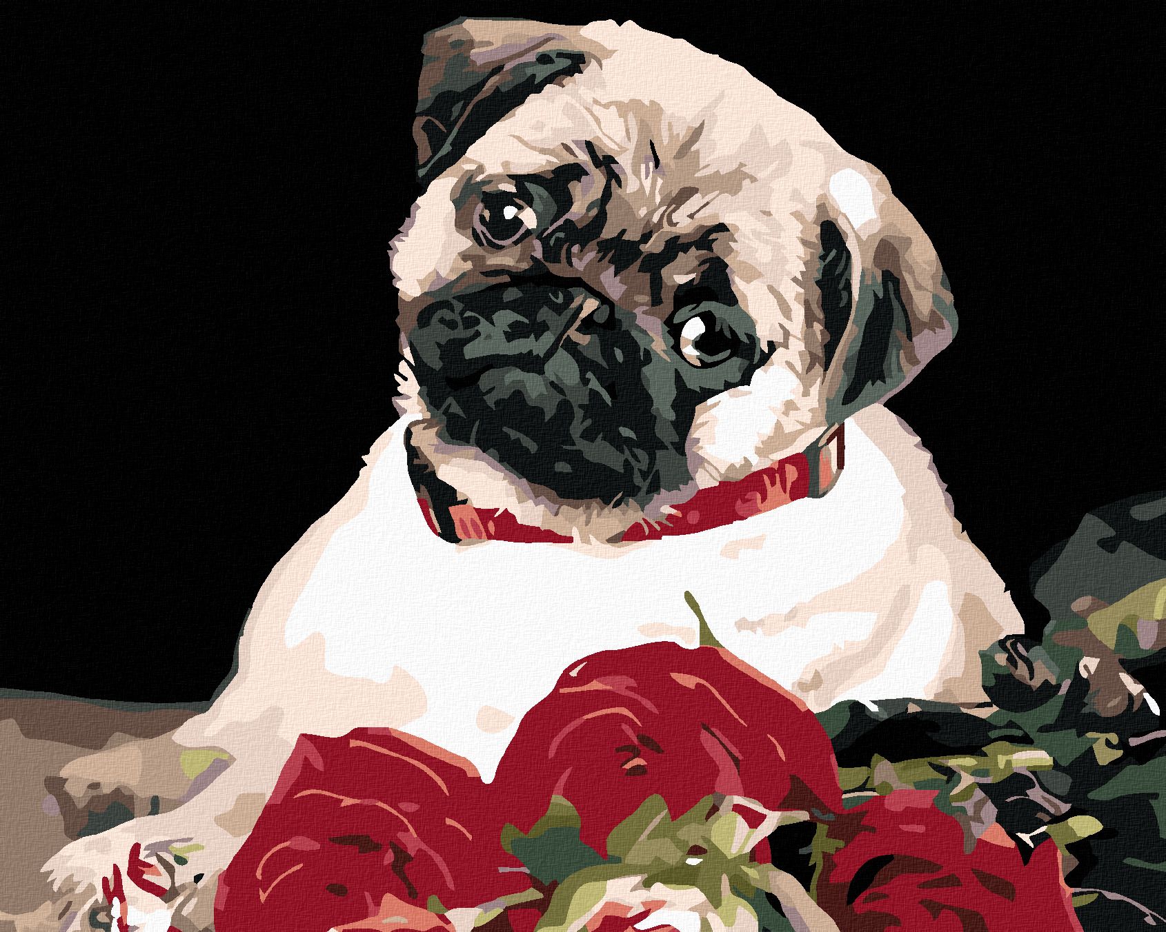 zuty Malování podle čísel - MOPS - Rozměr: 40x50 cm, Rámování: Varianta: vypnuté plátno na rám - obrázek 1