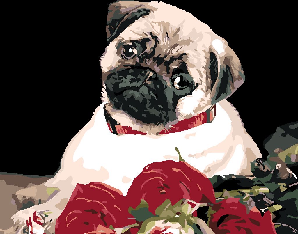 zuty Malování podle čísel - MOPS - Rozměr: 40x50 cm, Rámování: Varianta: vypnuté plátno na rám - obrázek 9