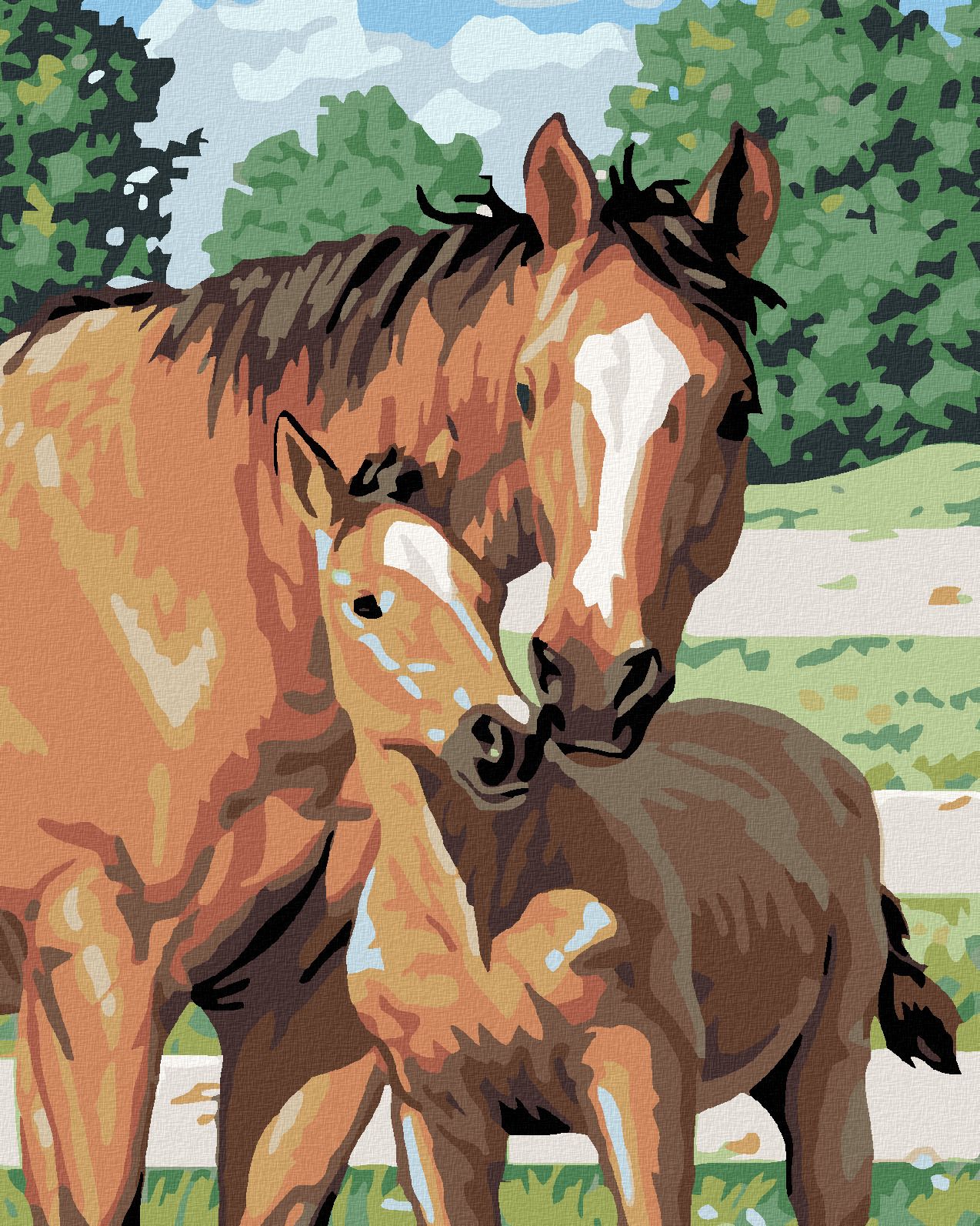 zuty Malování podle čísel - KOBYLA S HŘÍBĚTEM - Rozměr: 40x50 cm, Rámování: Varianta: vypnuté plátno na rám - obrázek 1