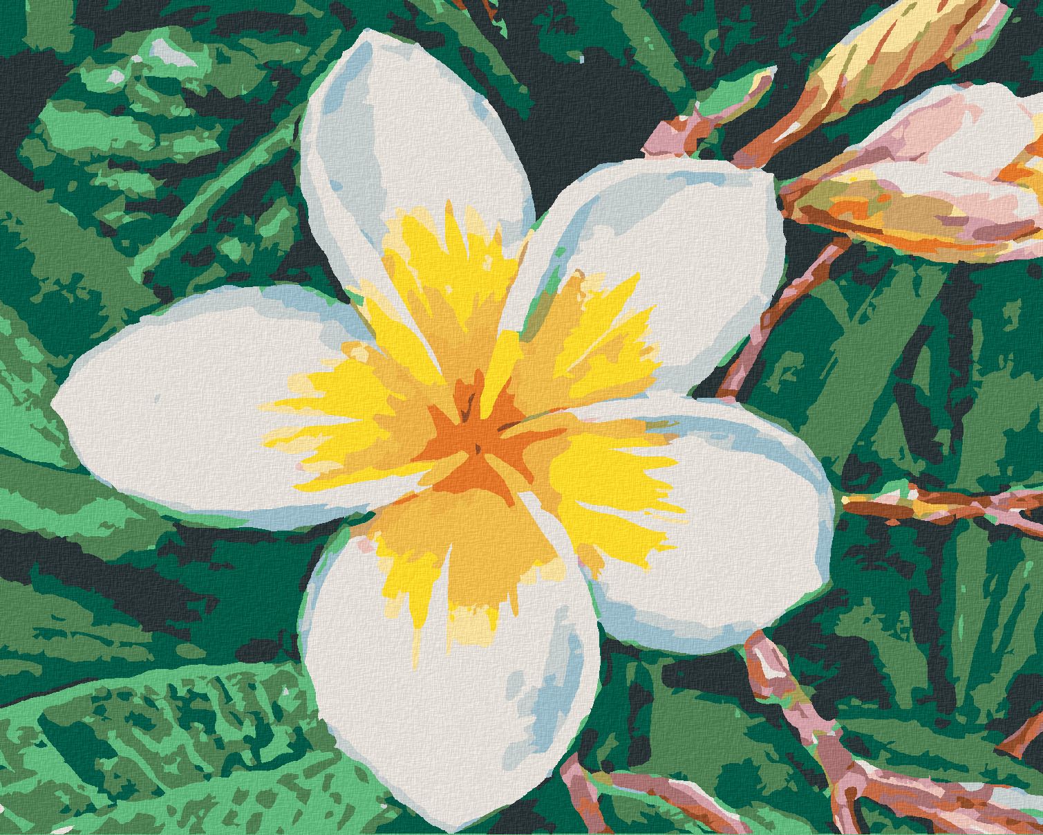 zuty Malování podle čísel - HAVAJSKÁ KVĚTINA - Rozměr: 40x50 cm, Rámování: Varianta: vypnuté plátno na rám - obrázek 1