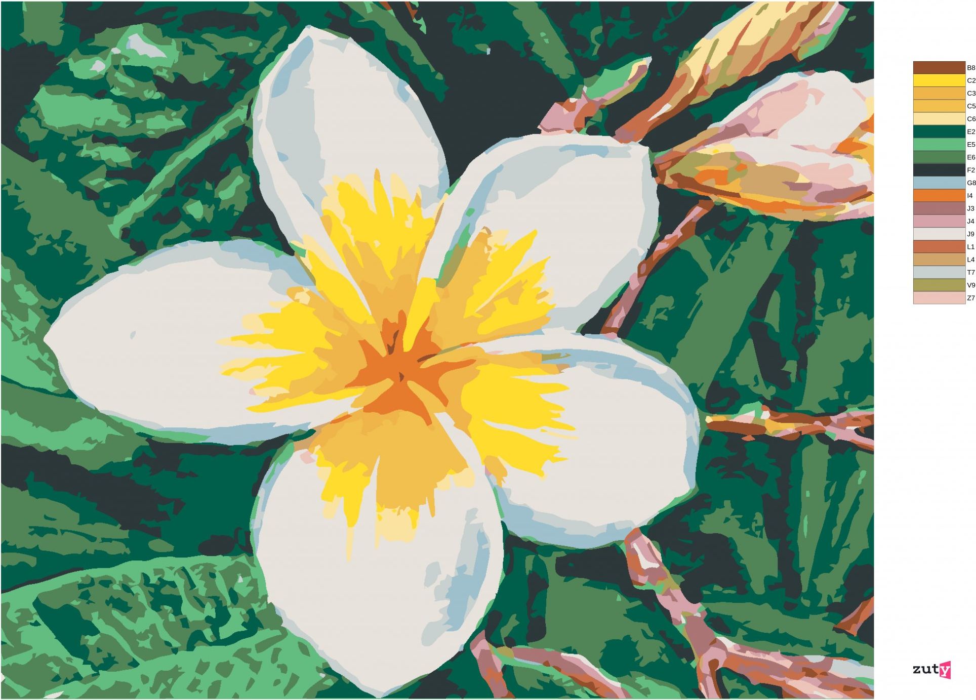 zuty Malování podle čísel - HAVAJSKÁ KVĚTINA - Rozměr: 40x50 cm, Rámování: Varianta: vypnuté plátno na rám - obrázek 6