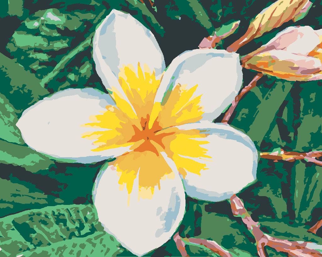 zuty Malování podle čísel - HAVAJSKÁ KVĚTINA - Rozměr: 40x50 cm, Rámování: Varianta: vypnuté plátno na rám - obrázek 8
