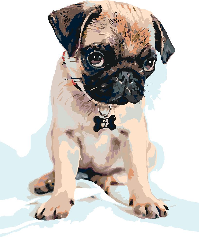 zuty Malování podle čísel - ROZTOMILÝ MOPSÍK - Rozměr: 40x50 cm, Rámování: Varianta: vypnuté plátno na rám - obrázek 2