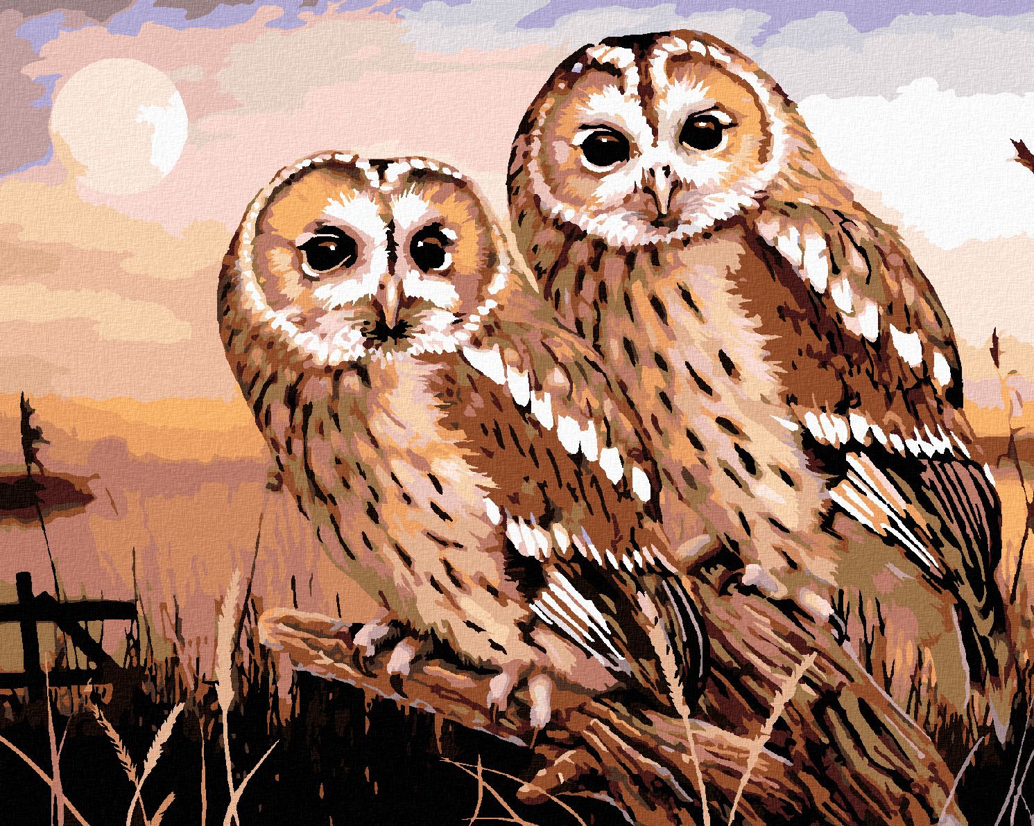 zuty Malování podle čísel - SOVY - PUŠTÍK OBECNÝ (HOWARD ROBINSON) - Rozměr: 40x50 cm, Rámování: Varianta: vypnuté plátno na rám - obrázek 1