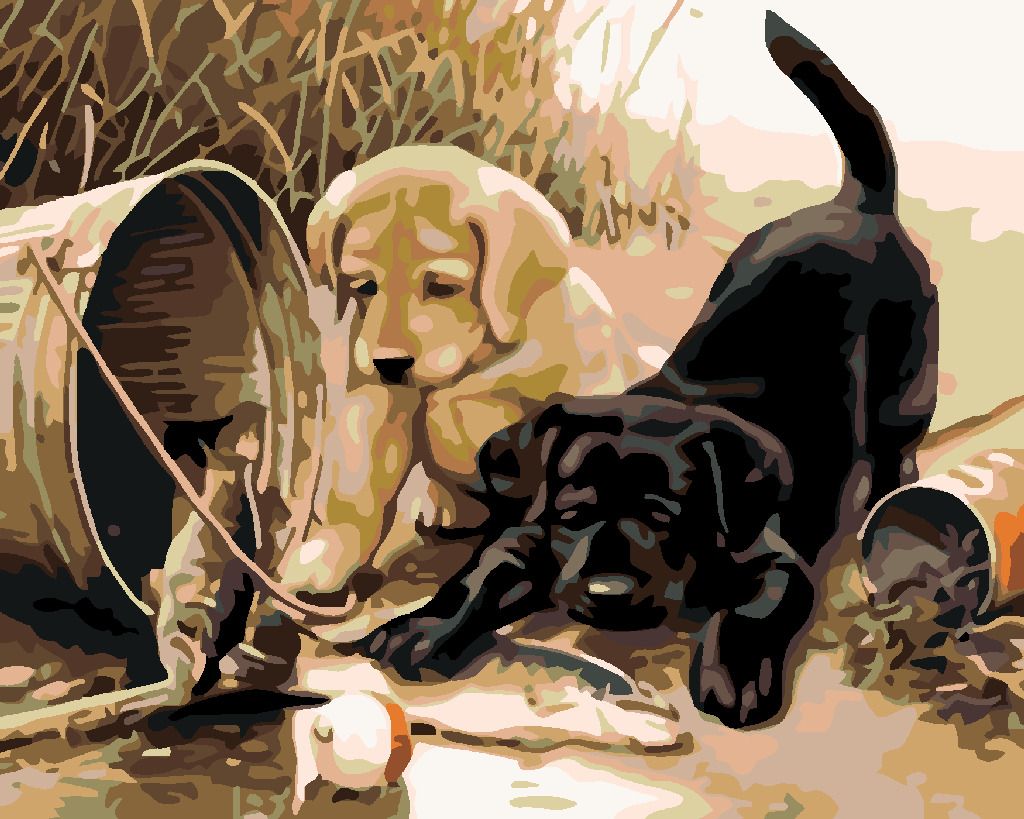 zuty Malování podle čísel - ŠTĚŇATA S RYBOU - Rozměr: 40x50 cm, Rámování: Varianta: bez rámu a bez vypnutí plátna - obrázek 5