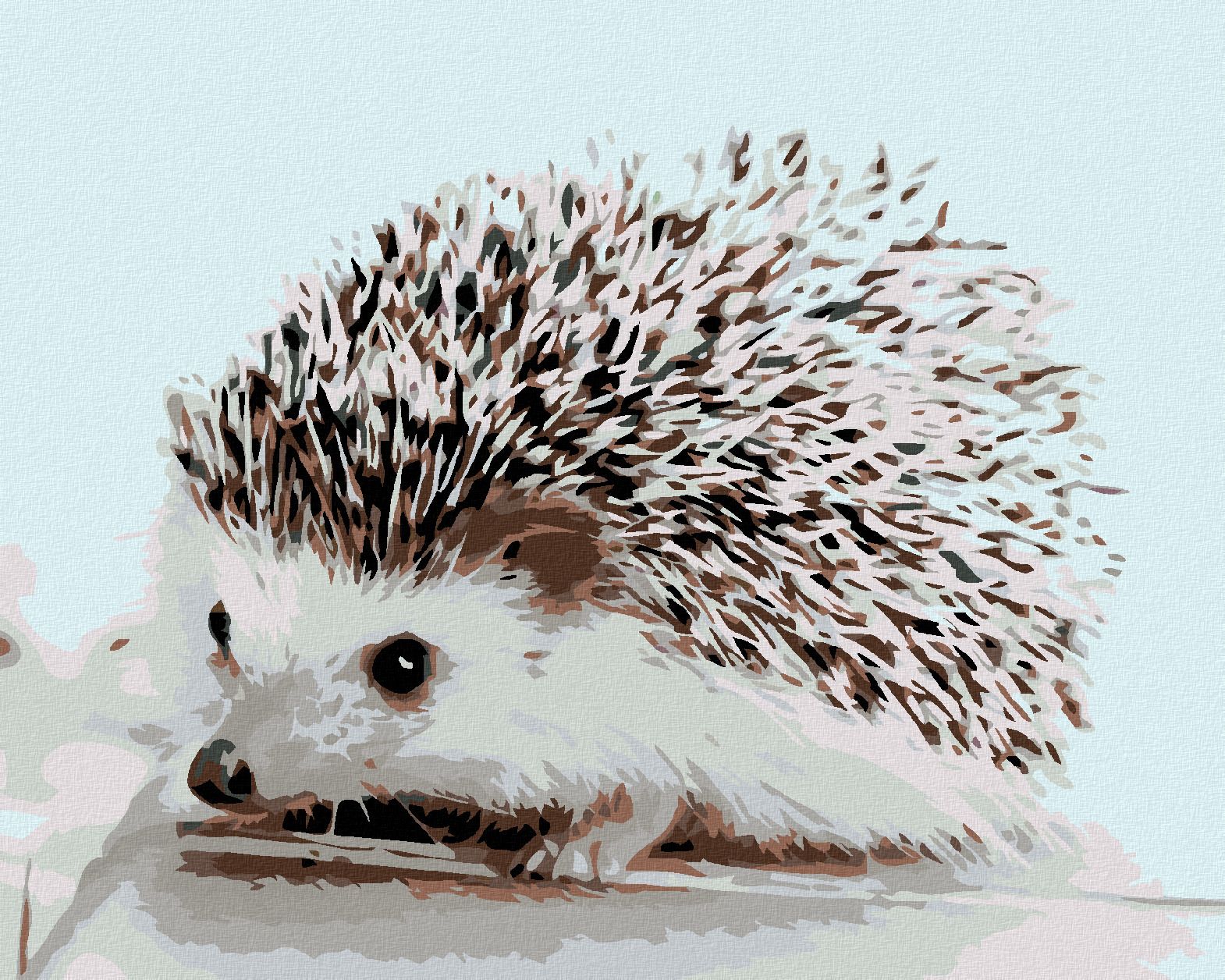 zuty Malování podle čísel - JEŽEK - Rozměr: 40x50 cm, Rámování: Varianta: vypnuté plátno na rám - obrázek 1