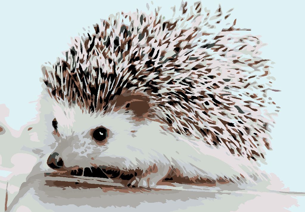 zuty Malování podle čísel - JEŽEK - Rozměr: 40x50 cm, Rámování: Varianta: vypnuté plátno na rám - obrázek 3