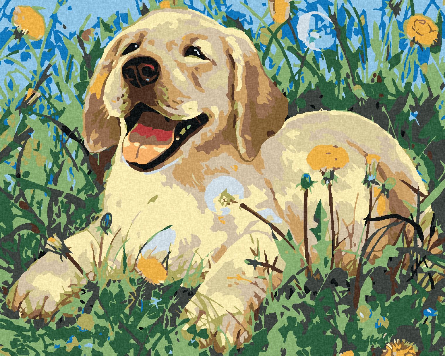 zuty Malování podle čísel - ŠTĚNĚ MEZI PAMPELIŠKAMI - Rozměr: 40x50 cm, Rámování: Varianta: bez rámu a bez vypnutí plátna - obrázek 1