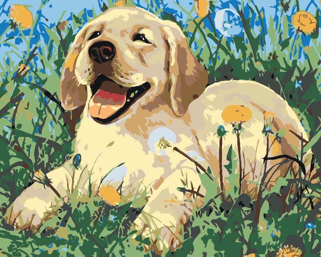 zuty Malování podle čísel - ŠTĚNĚ MEZI PAMPELIŠKAMI - Rozměr: 40x50 cm, Rámování: Varianta: bez rámu a bez vypnutí plátna - obrázek 6