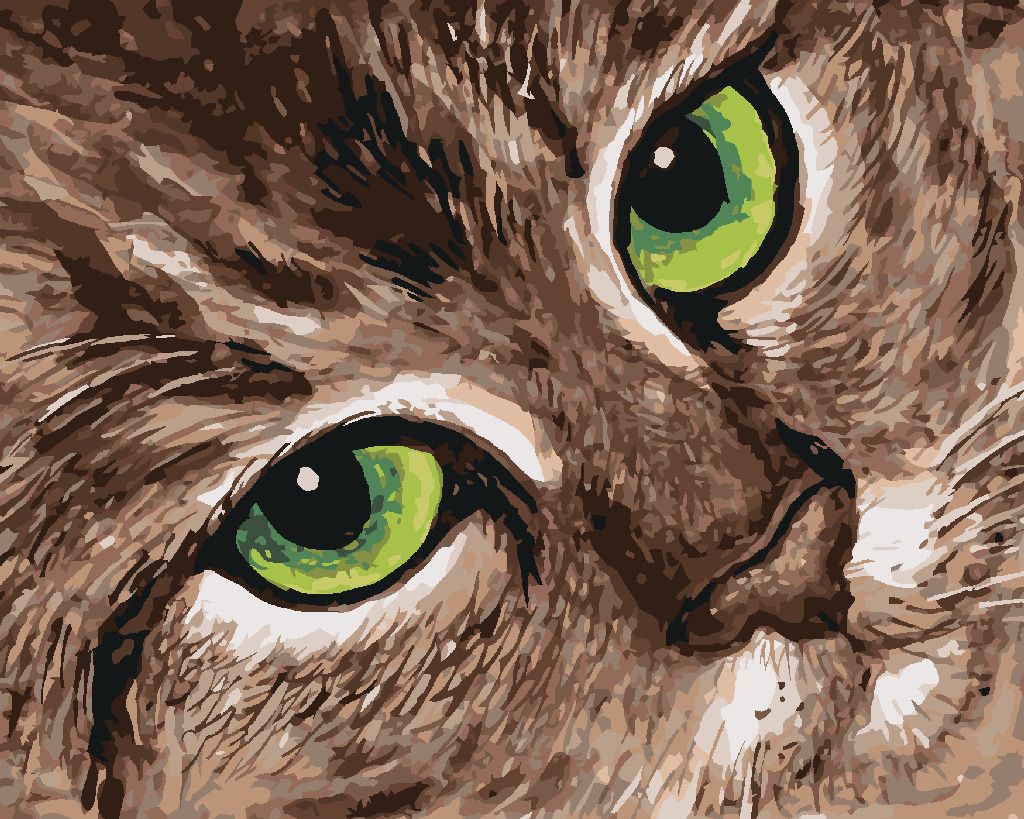 zuty Malování podle čísel - KOČKA A ZELENÉ OČI - Rozměr: 40x50 cm, Rámování: Varianta: vypnuté plátno na rám - obrázek 6