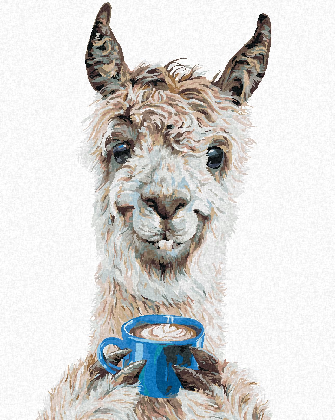 zuty Malování podle čísel - LAMA A KÁVA (HOLLY SIMENTAL) - Rozměr: 40x50 cm, Rámování: Varianta: vypnuté plátno na rám - obrázek 1