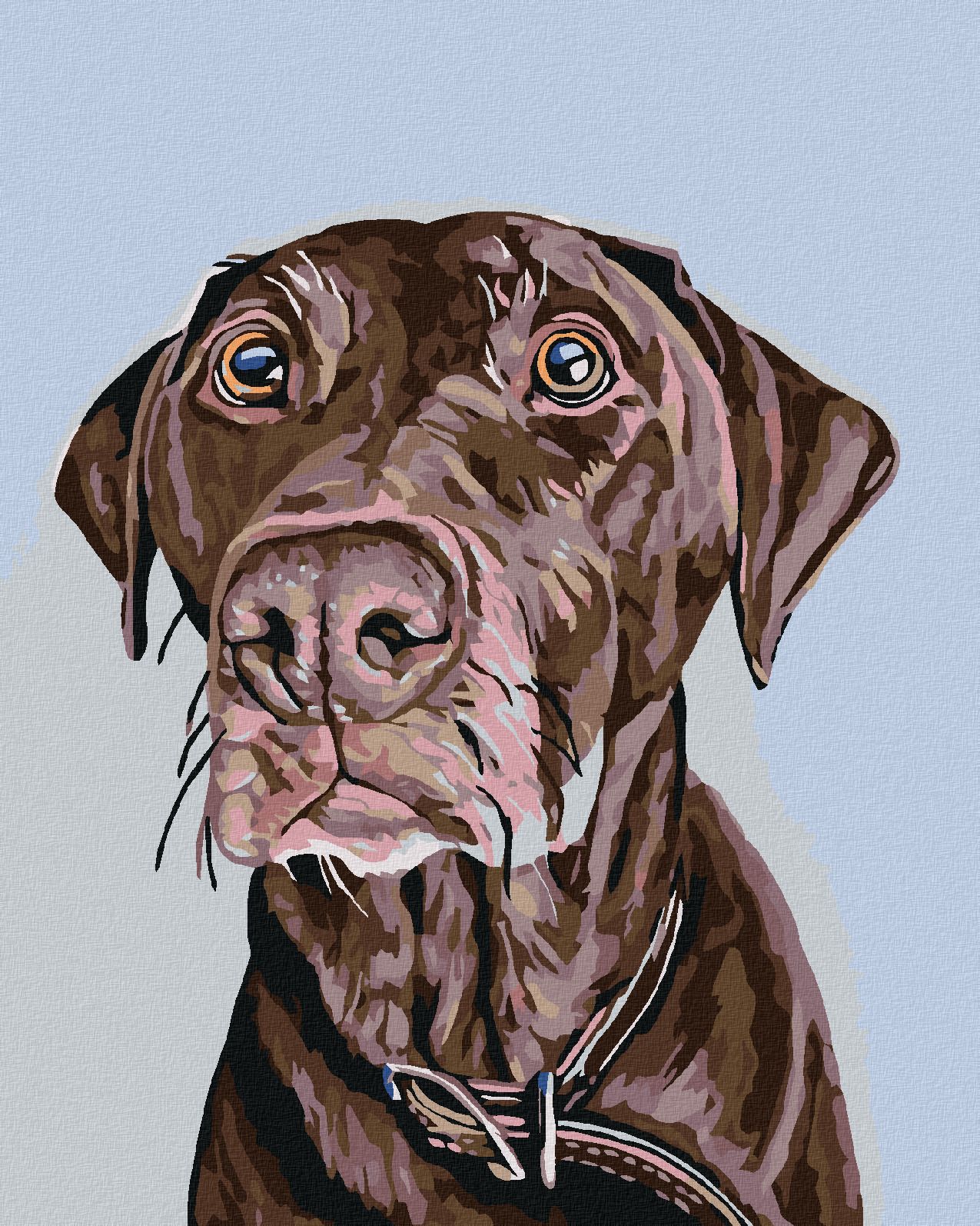 zuty Malování podle čísel - HNĚDÝ PES S HNĚDÝM OBOJKEM - Rozměr: 40x50 cm, Rámování: Varianta: bez rámu a bez vypnutí plátna - obrázek 1