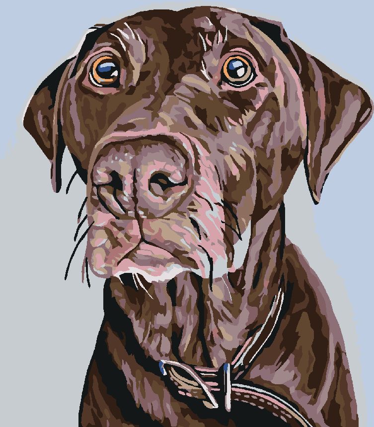 zuty Malování podle čísel - HNĚDÝ PES S HNĚDÝM OBOJKEM - Rozměr: 40x50 cm, Rámování: Varianta: vypnuté plátno na rám - obrázek 15