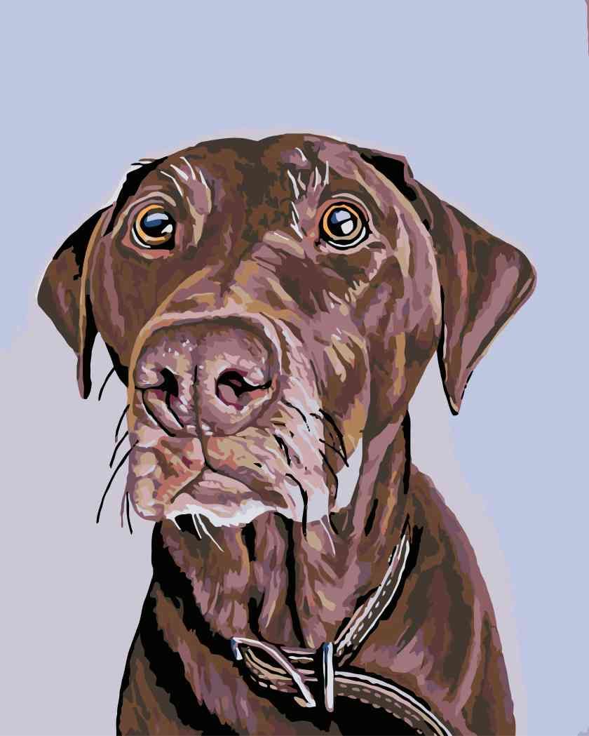 zuty Malování podle čísel - HNĚDÝ PES S HNĚDÝM OBOJKEM - Rozměr: 40x50 cm, Rámování: Varianta: vypnuté plátno na rám - obrázek 16