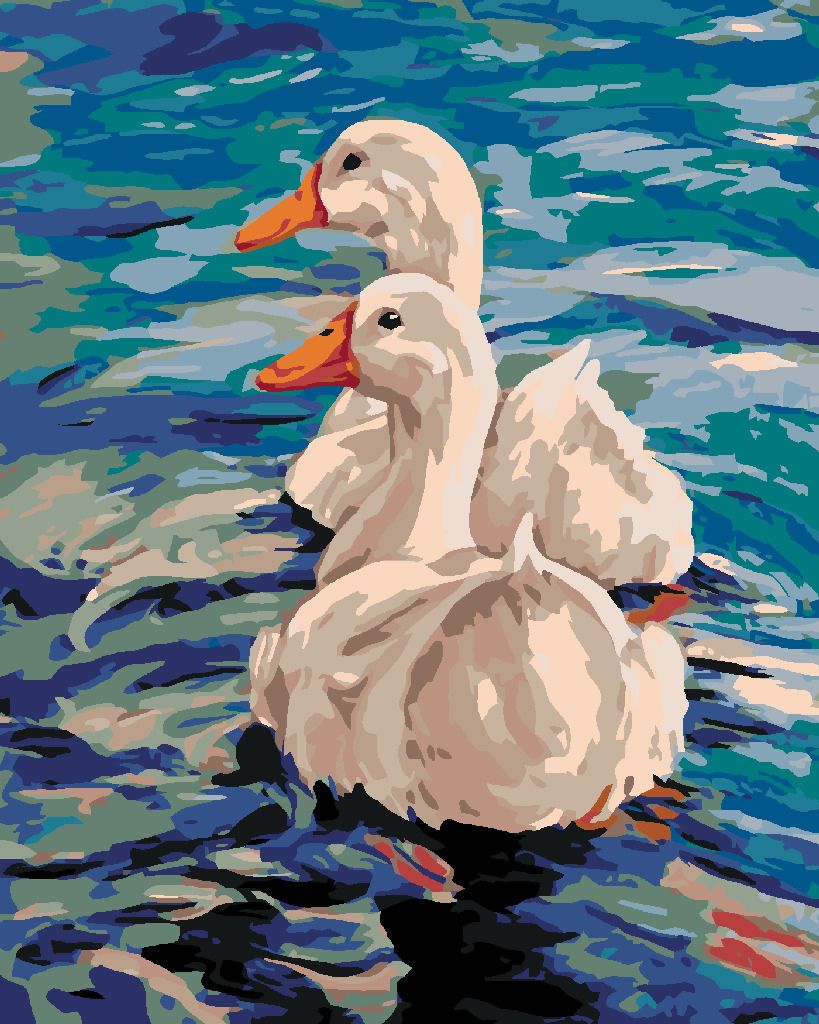 zuty Malování podle čísel - DVĚ KACHNY NA VODĚ - Rozměr: 40x50 cm, Rámování: Varianta: vypnuté plátno na rám - obrázek 9