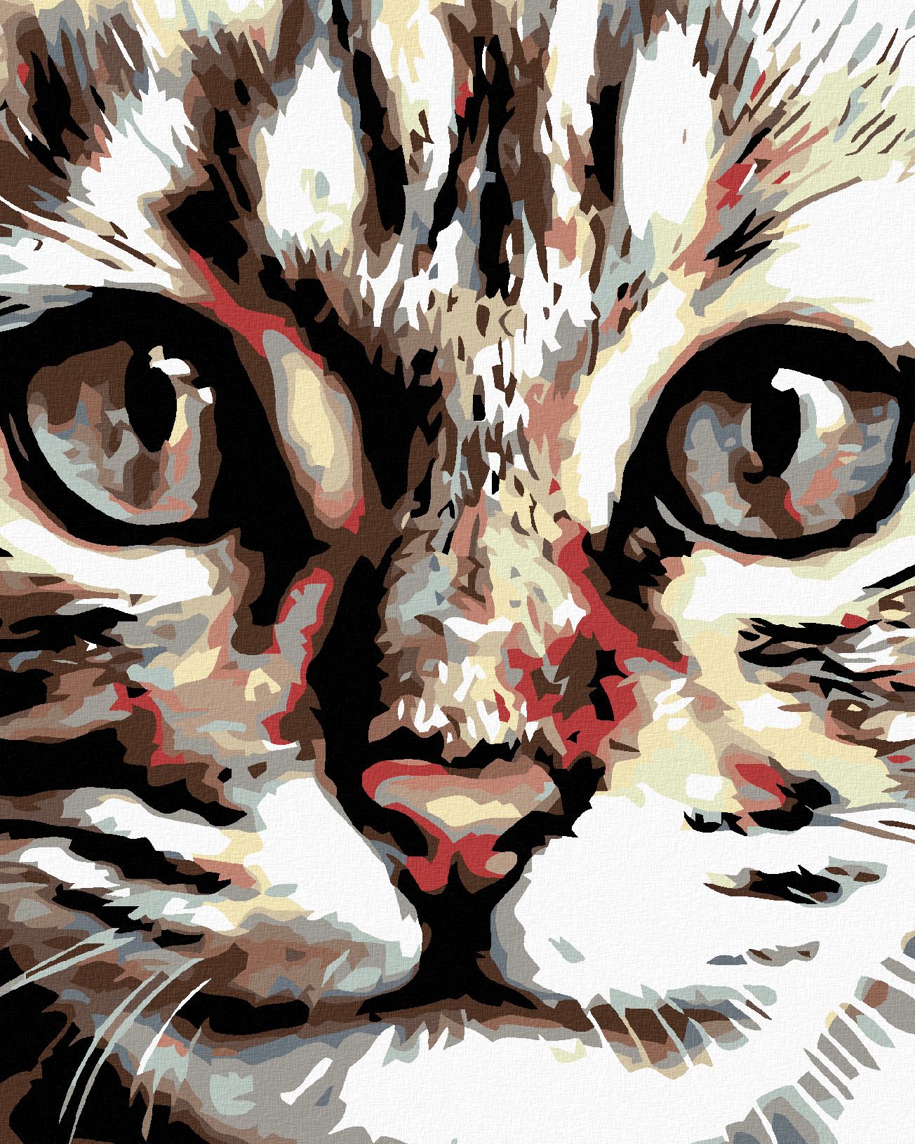 zuty Malování podle čísel - MOUROVATÉ KOTĚ - Rozměr: 40x50 cm, Rámování: Varianta: vypnuté plátno na rám - obrázek 1