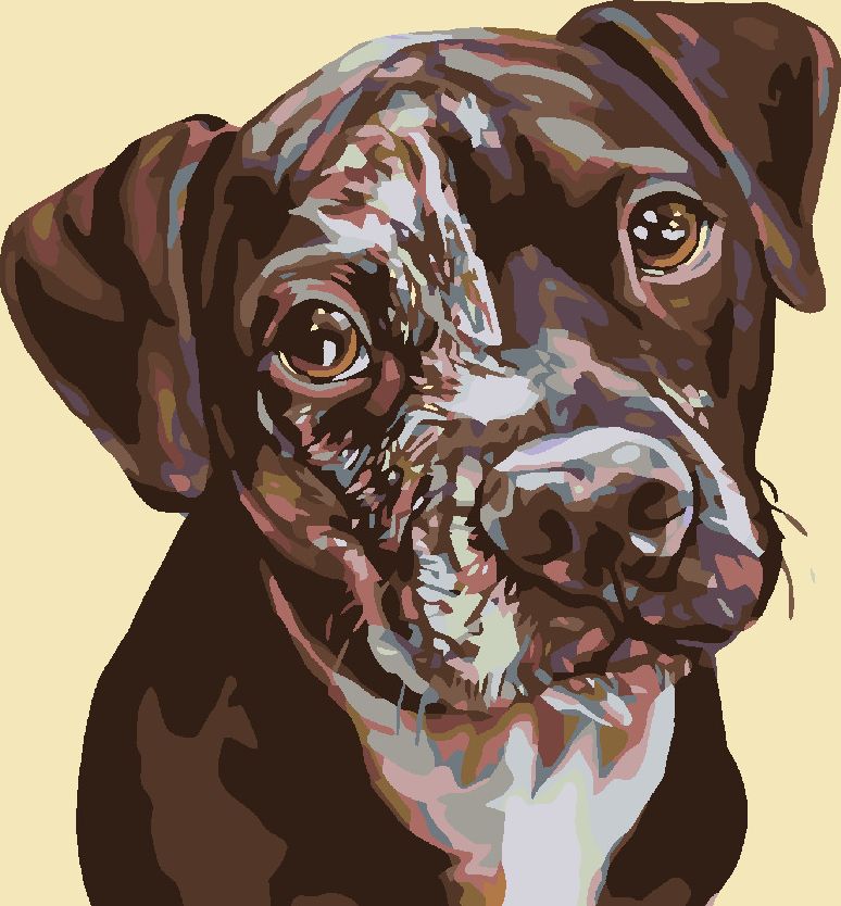 zuty Malování podle čísel - FLEKATÉ ŠTĚNĚ - Rozměr: 40x50 cm, Rámování: Varianta: bez rámu a bez vypnutí plátna - obrázek 7