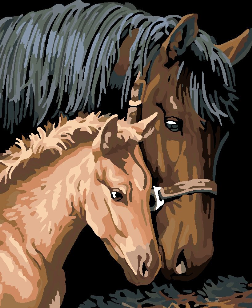 zuty Malování podle čísel - HNĚDÁ KOBYLA S HŘÍBĚTEM - Rozměr: 40x50 cm, Rámování: Varianta: bez rámu a bez vypnutí plátna - obrázek 8