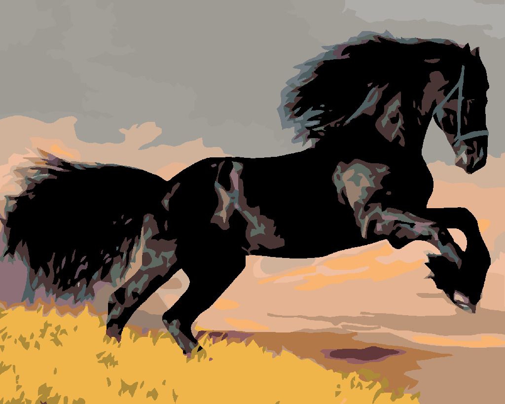 zuty Malování podle čísel - ČERNÝ KŮŇ - Rozměr: 40x50 cm, Rámování: Varianta: bez rámu a bez vypnutí plátna - obrázek 10