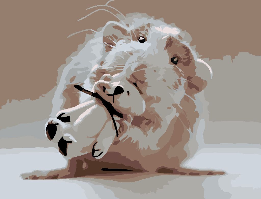 zuty Malování podle čísel - MYŠKA S BÍLÝM MEDVÍDKEM - Rozměr: 40x50 cm, Rámování: Varianta: vypnuté plátno na rám - obrázek 4