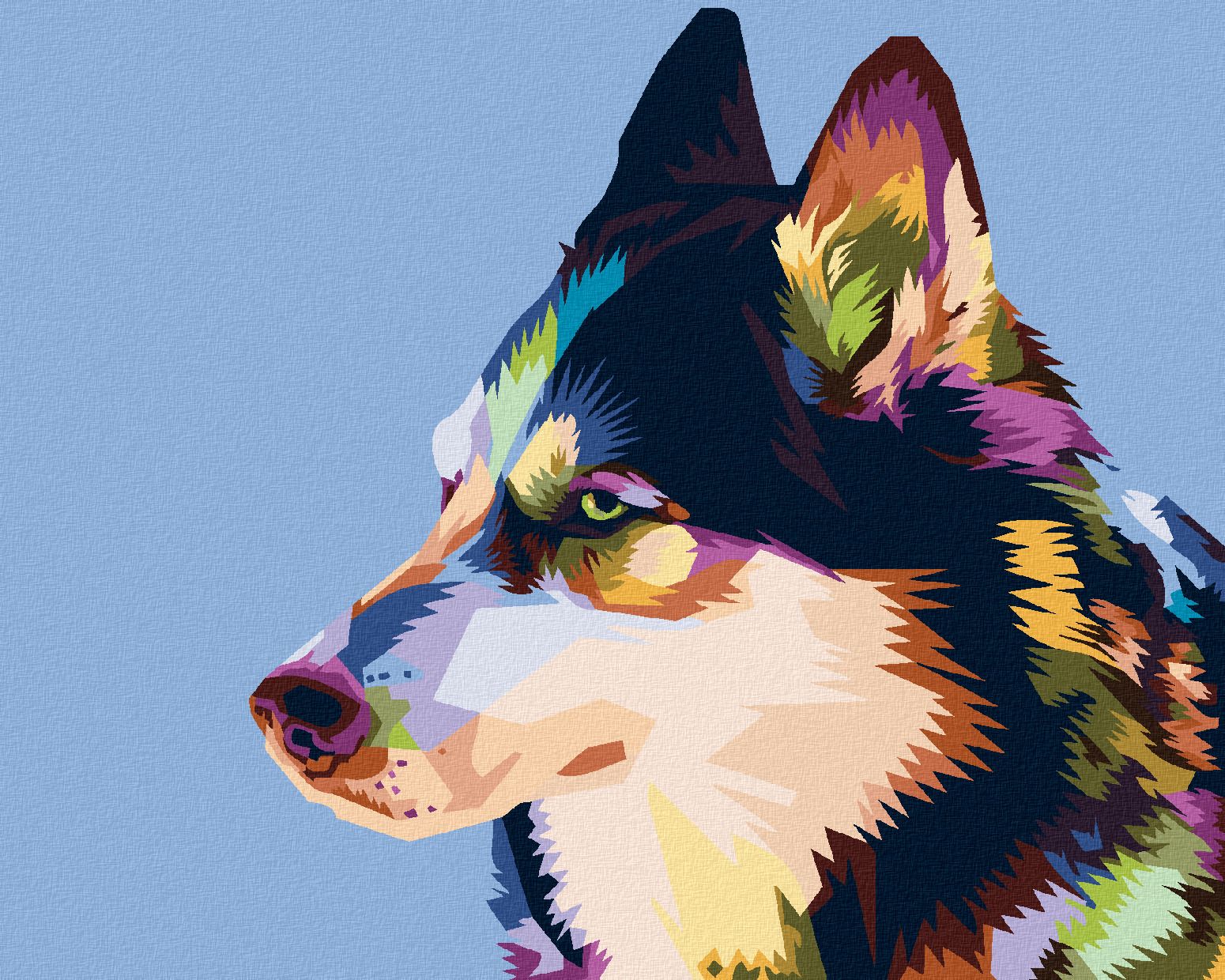 zuty Malování podle čísel - BAREVNÝ HUSKY - Rozměr: 40x50 cm, Rámování: Varianta: vypnuté plátno na rám - obrázek 1