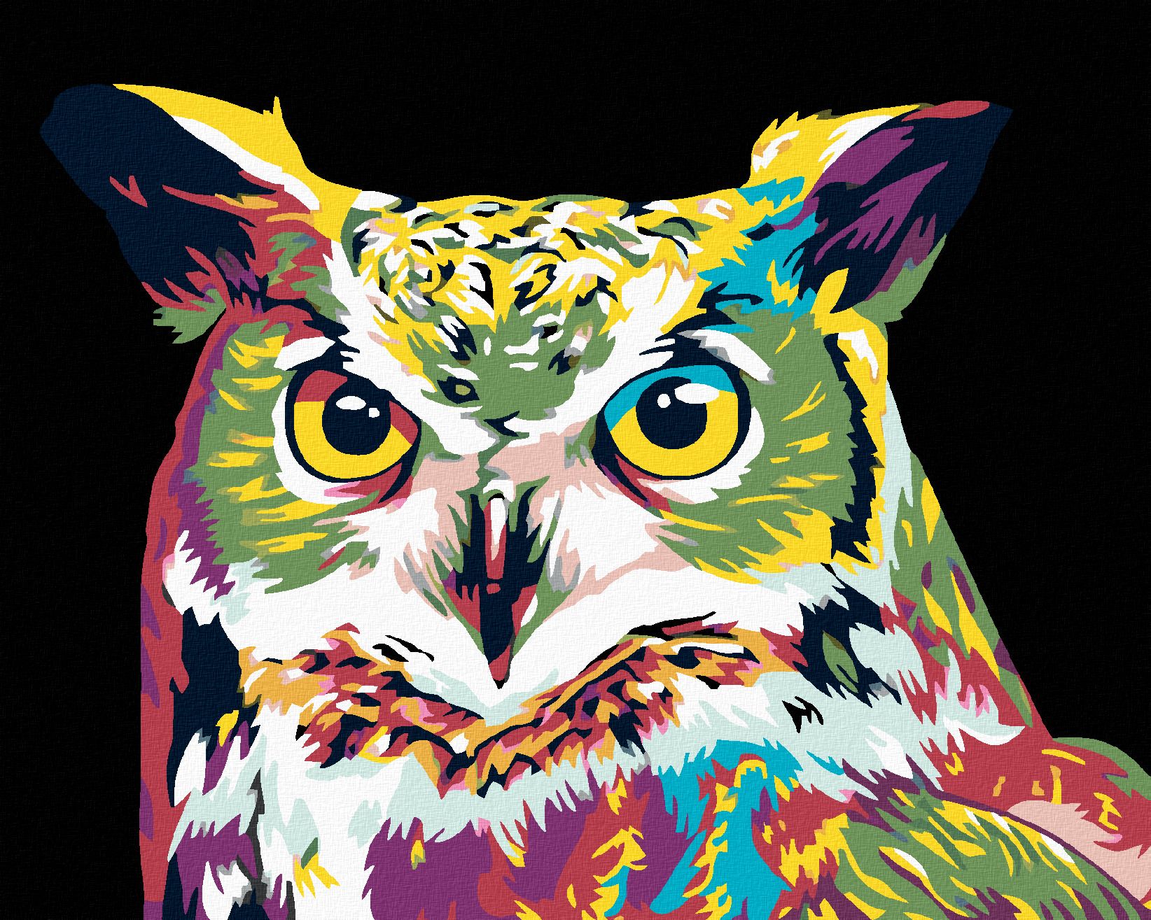 zuty Malování podle čísel - BAREVNÁ SOVA - Rozměr: 40x50 cm, Rámování: Varianta: bez rámu a bez vypnutí plátna - obrázek 1