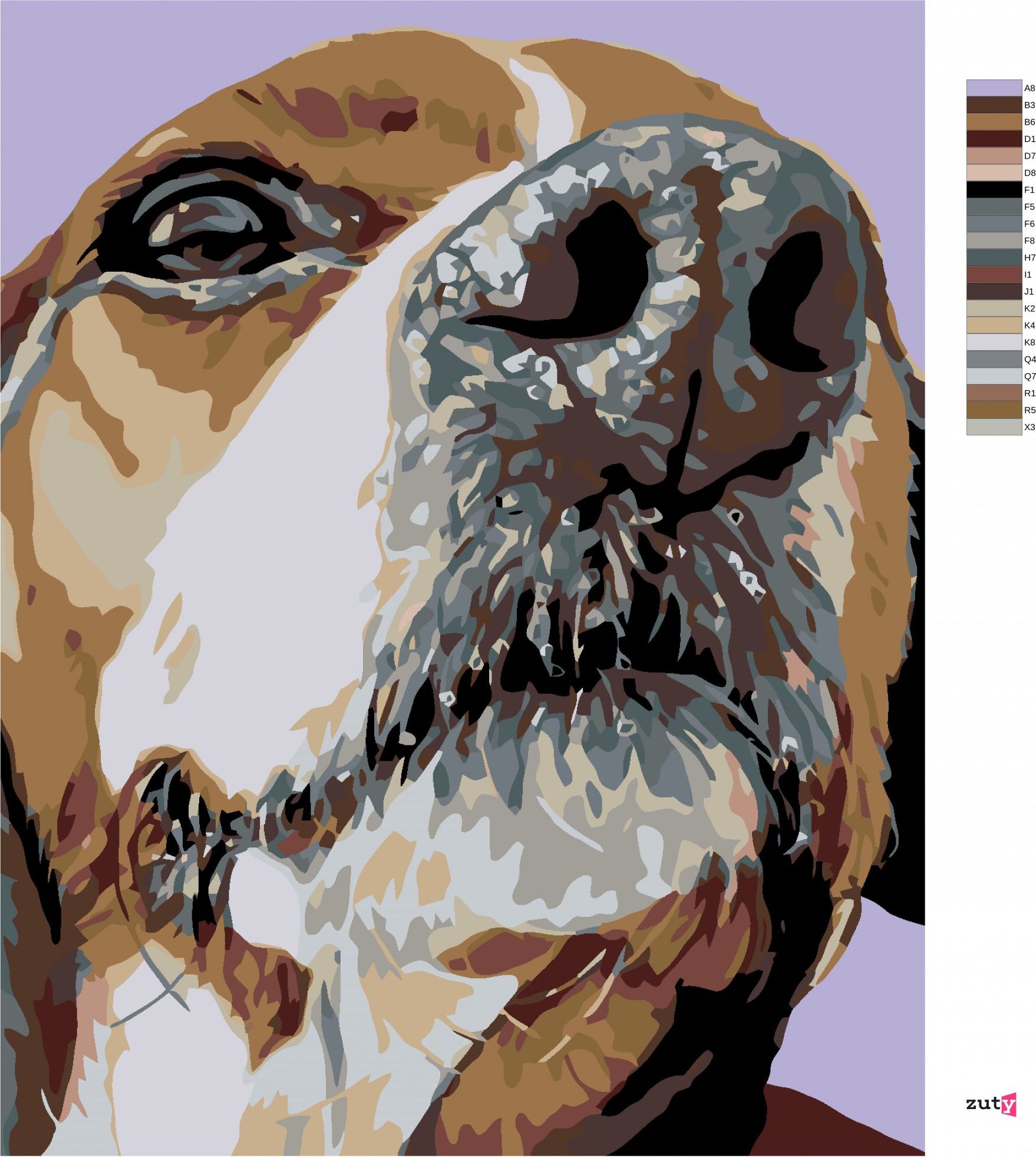 zuty Malování podle čísel - ČUMÁČEK BÍGLA - Rozměr: 40x50 cm, Rámování: Varianta: bez rámu a bez vypnutí plátna - obrázek 3