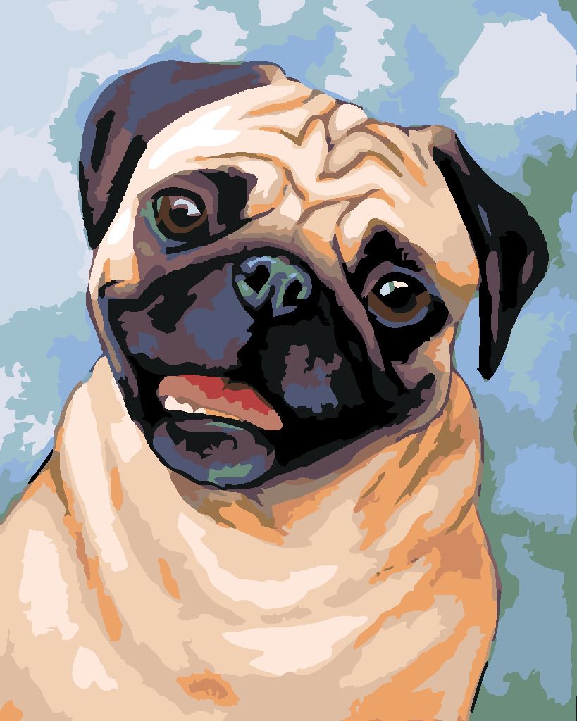 zuty Malování podle čísel - HNĚDÝ MOPS - Rozměr: 40x50 cm, Rámování: Varianta: vypnuté plátno na rám - obrázek 10