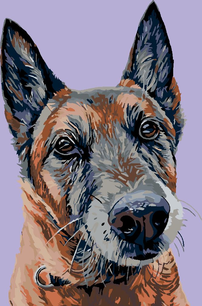 zuty Malování podle čísel - STARÝ VLČÁK - Rozměr: 40x50 cm, Rámování: Varianta: bez rámu a bez vypnutí plátna - obrázek 3