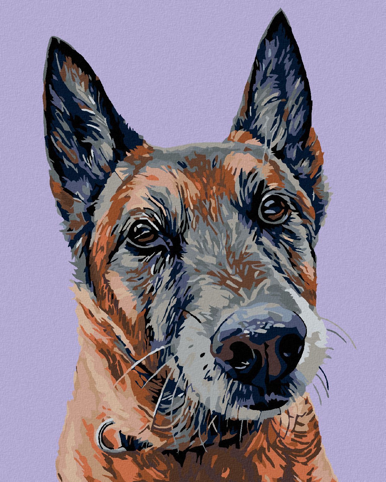 zuty Malování podle čísel - STARÝ VLČÁK - Rozměr: 40x50 cm, Rámování: Varianta: vypnuté plátno na rám - obrázek 1