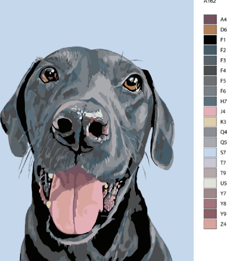 zuty Malování podle čísel - ČERNÝ KRASAVEC - Rozměr: 40x50 cm, Rámování: Varianta: bez rámu a bez vypnutí plátna - obrázek 7