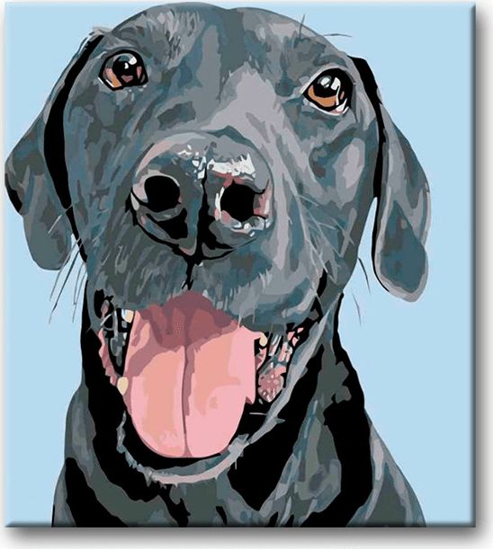 zuty Malování podle čísel - ČERNÝ KRASAVEC - Rozměr: 40x50 cm, Rámování: Varianta: bez rámu a bez vypnutí plátna - obrázek 13