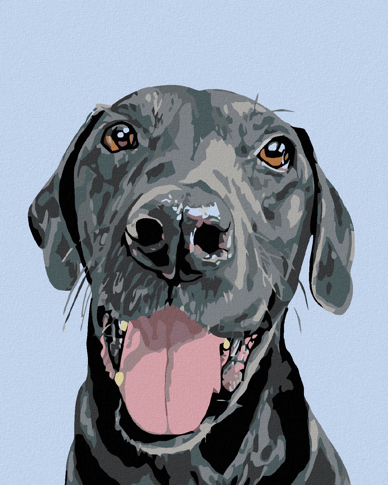 zuty Malování podle čísel - ČERNÝ KRASAVEC - Rozměr: 40x50 cm, Rámování: Varianta: vypnuté plátno na rám - obrázek 1