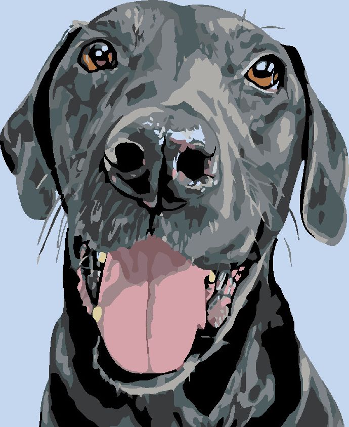 zuty Malování podle čísel - ČERNÝ KRASAVEC - Rozměr: 40x50 cm, Rámování: Varianta: vypnuté plátno na rám - obrázek 2