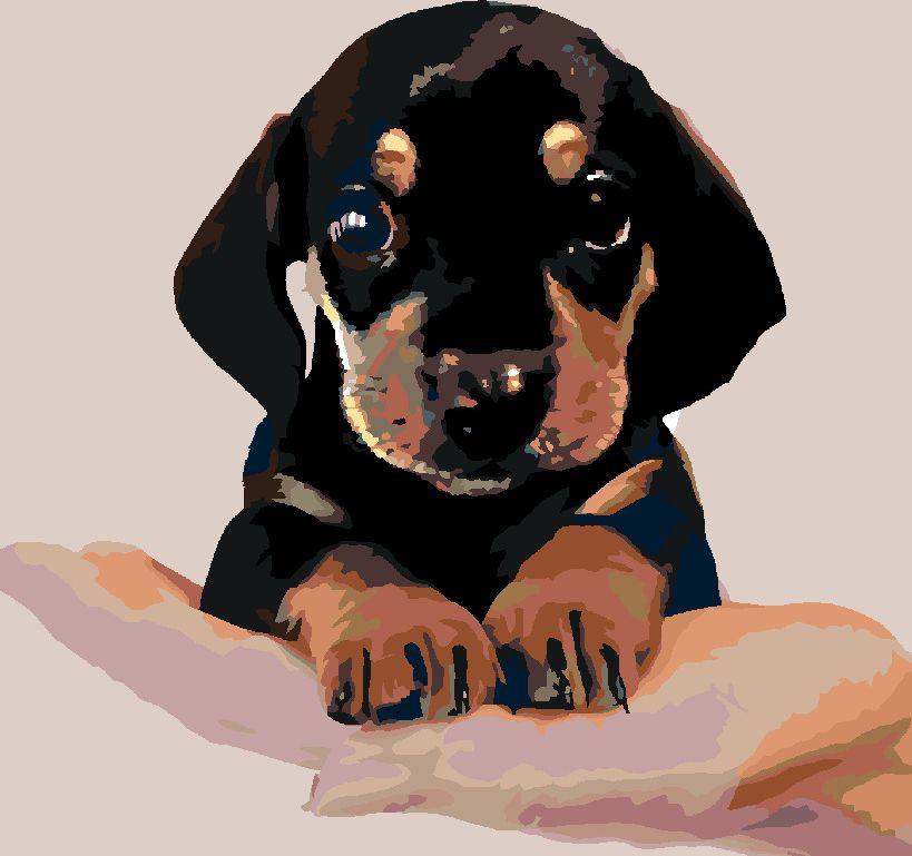 zuty Malování podle čísel - ŠTĚNĚ KRÁTKOSRSTÉHO JEZEVČÍKA - Rozměr: 40x50 cm, Rámování: Varianta: bez rámu a bez vypnutí plátna - obrázek 9