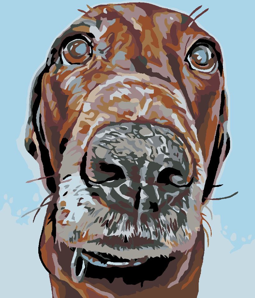 zuty Malování podle čísel - PES S VELKÝM ČUMÁČKEM - Rozměr: 40x50 cm, Rámování: Varianta: bez rámu a bez vypnutí plátna - obrázek 4