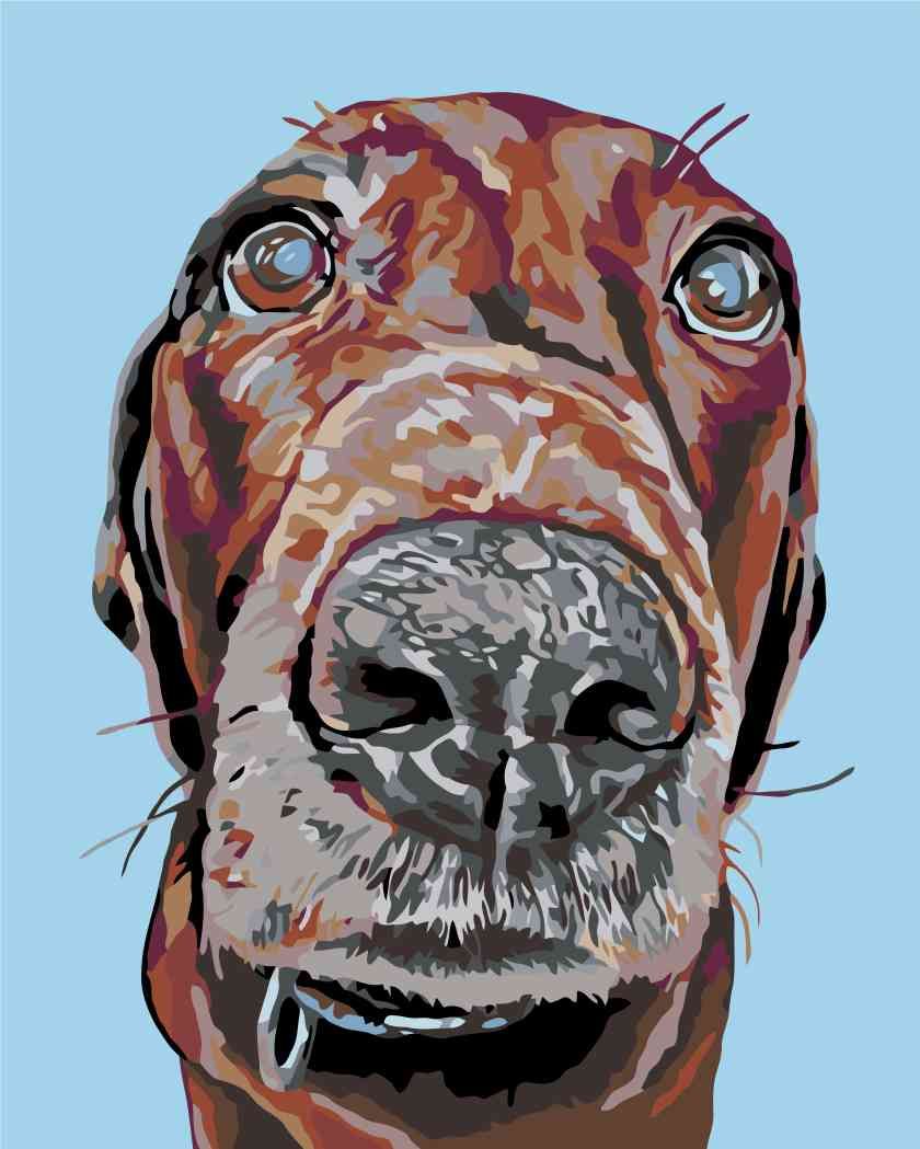 zuty Malování podle čísel - PES S VELKÝM ČUMÁČKEM - Rozměr: 40x50 cm, Rámování: Varianta: bez rámu a bez vypnutí plátna - obrázek 6
