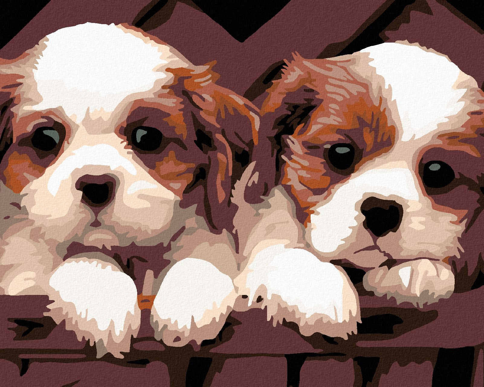 zuty Malování podle čísel - BÍLOHNĚDÁ ŠTĚŇÁTKA - Rozměr: 40x50 cm, Rámování: Varianta: vypnuté plátno na rám - obrázek 1